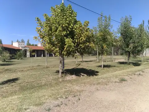 Viamonte 2900