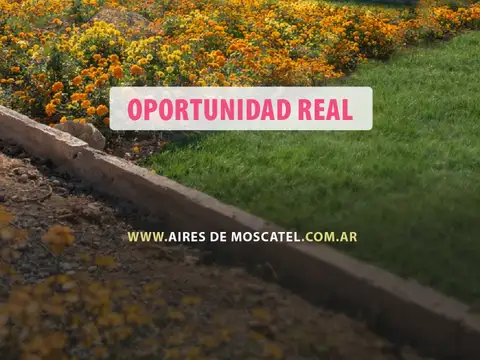 Terreno en Venta, FOS 65