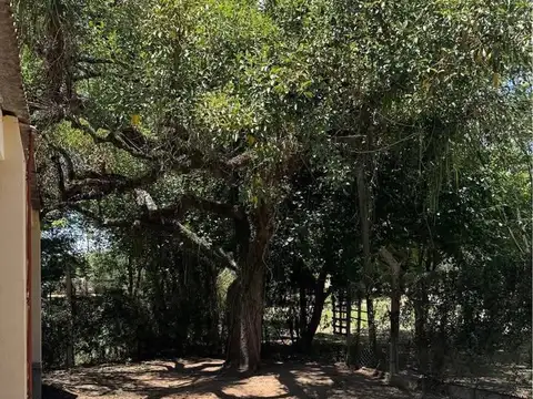 Casa en Alquiler al Este