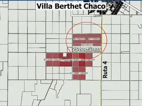 Campo Venta 75 Hectáreas Villa Berteth