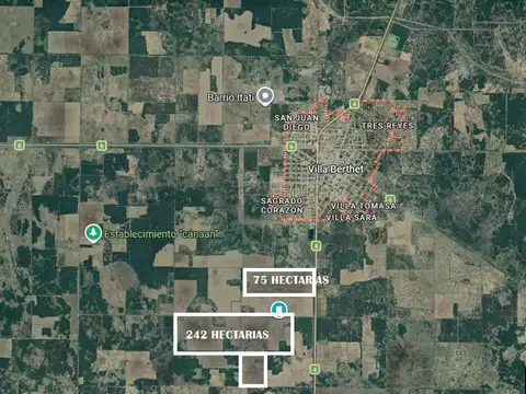 Campo Venta 75 Hectáreas Villa Berteth