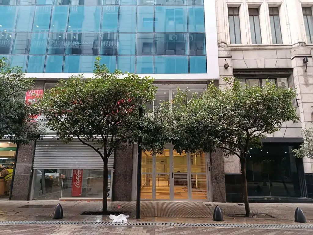Maipú 53