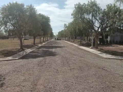 Buenos Vecinos 8700