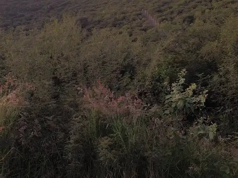 Terreno en Venta de 1338,0 m2