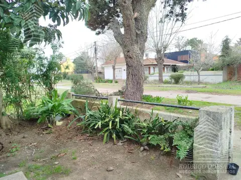 Cordoba al 500