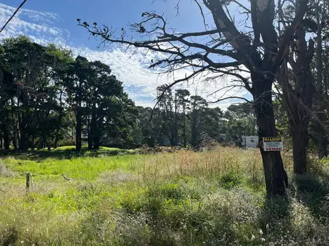 Terreno en Venta de 7715,0 m2