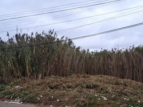 Terreno en Venta 15  mts Frente