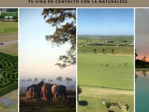 Terreno en Venta en Cañuelas, USD 70.000