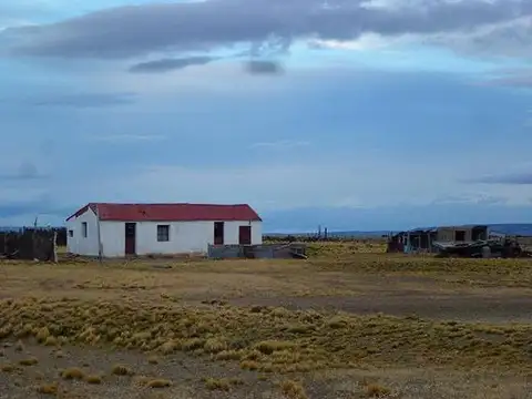 Campo próximo a Tres Lagos - RP 288