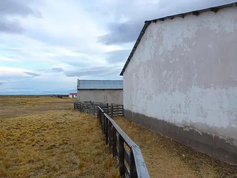 INMOBILIARIA COMODORO - 20.000 has Santa Cruz - buenas Instalaciones - RP 288
