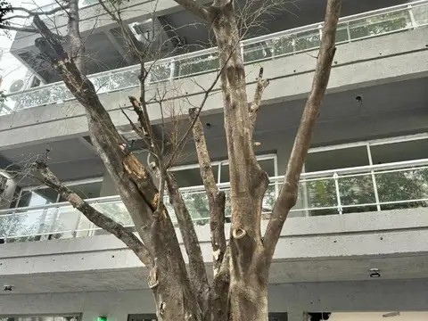 ALQUILER ESPECTACULAR 3 AMBIENTES 80M2 MUY LUMINOSO