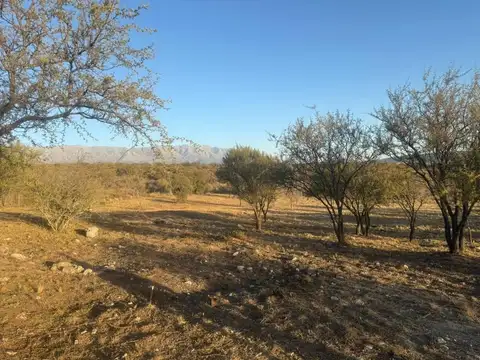 Terreno en Venta en Arroyo de los Patos, USD 14.000