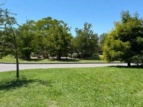 AYRES PLAZA - C3  (   31032 ) 100