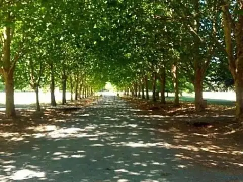 Barrio Haras del Sol Pilar 100