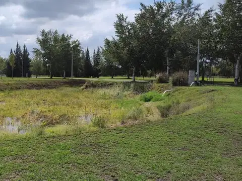 Terreno en Venta 20  mts Frente