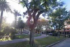Desarrollos 21 - Foto 19