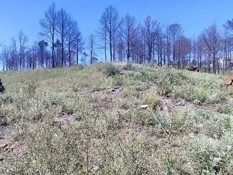 Terreno en Venta de 2999,0 m2