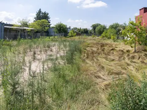 Terreno en Venta 10  mts Frente