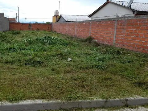 LOTEO SAN VICENTE 
