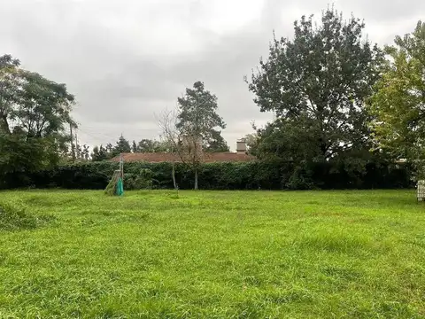 Brumana 1100