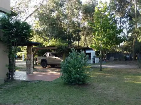 Matheu e/ Robette y Dante