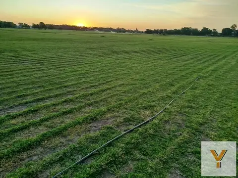Campo en venta - 15.000Mts2 - Baradero