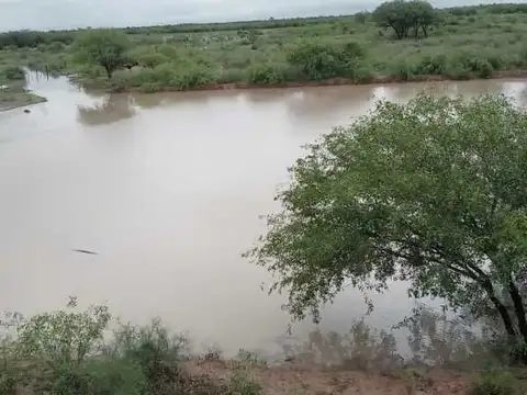 Tte. Domingo Martinez de Irala