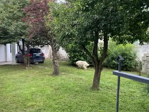 Los Cedros y El Ombú