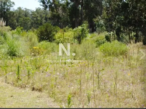 Terreno en Venta 26  mts Frente