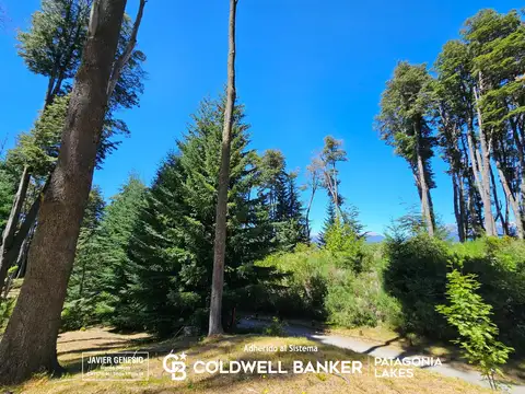 Terreno en Venta en Faldeo Del Bayo, Villa la Angostura