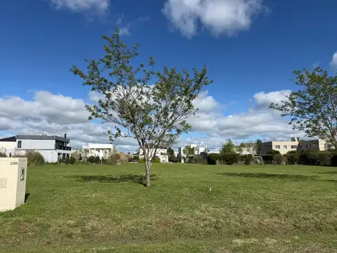 Terreno en Venta de 800,0 m2