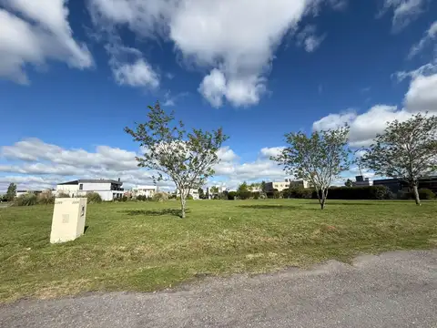 Terreno en Venta 20  mts Fondo