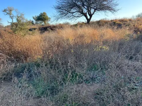 Terreno en Venta en Toay, USD 25.500