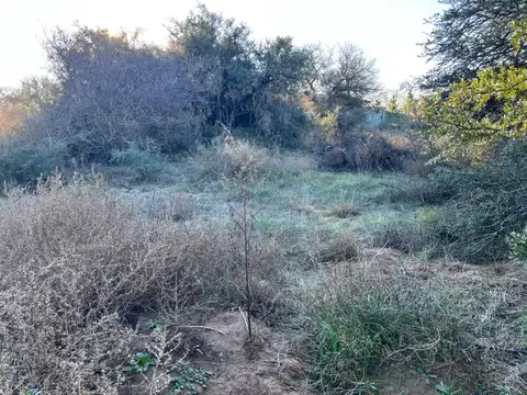 Terreno en Venta de 950,0 m2