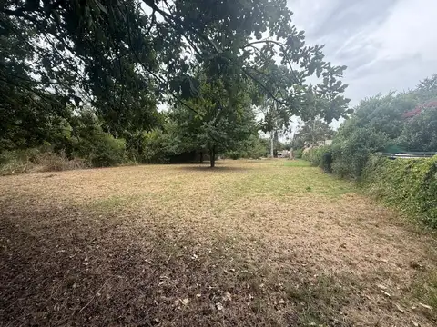 terreno en venta