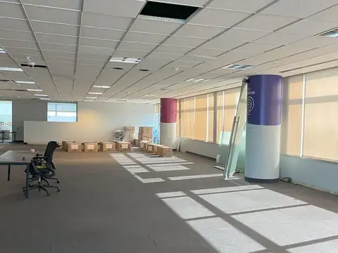 Oficina en Alquiler A Estrenar