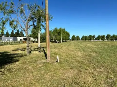 Lote en venta en Campos de Roca ll