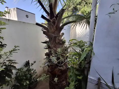 Depto Tipo Casa en Venta 50 años