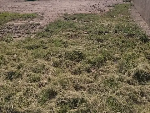 Terreno en Venta de 318,0 m2