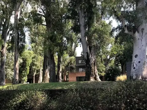 Departamento en Venta 8 años