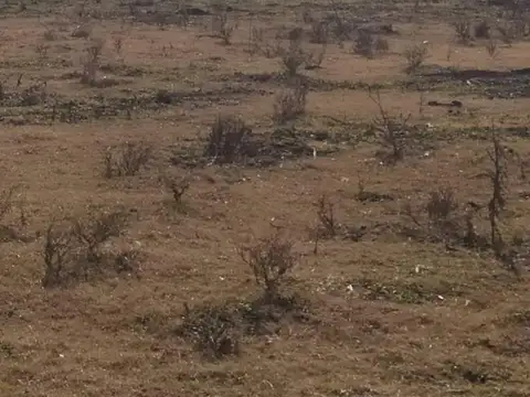 Excelente Campo Mixto de 155 Has con mejoras