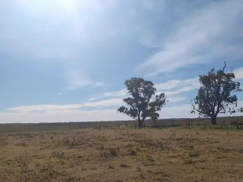 Excelente Campo Mixto de 155 Has con mejoras