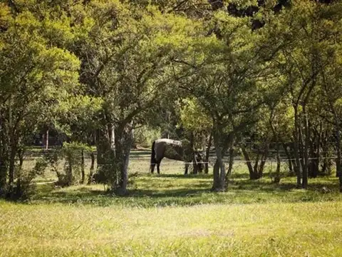 Terreno en Venta en Estancia Villa Maria, USD 37.000