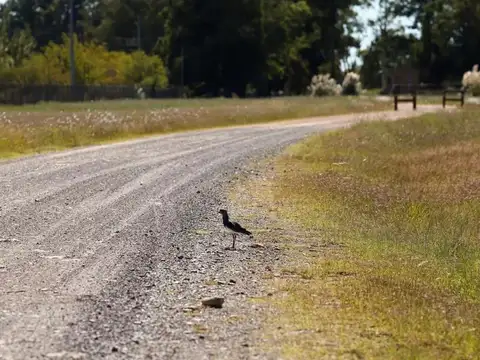 Terreno en Venta de 1500,0 m2