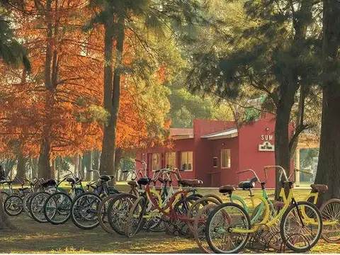 Ubicación: Ruta 6, KM142 -  Tres pinos - General Rodríguez