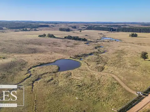 Camino Sainz Martinez y 1000 m de camino