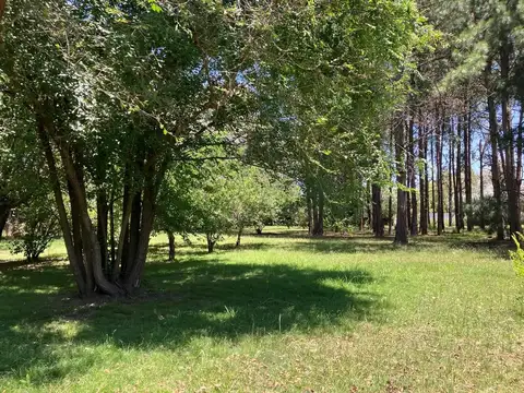 Apto desarrollo inmobiliario, emprendimientos empresariales,