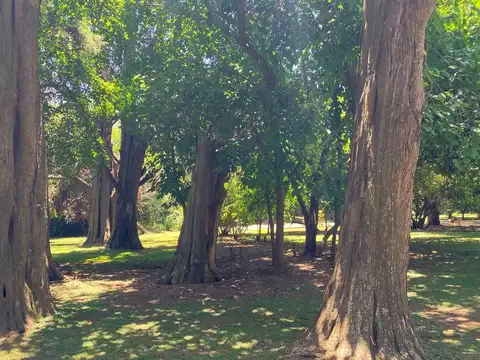 Quinta en Venta de 3 dormitorios