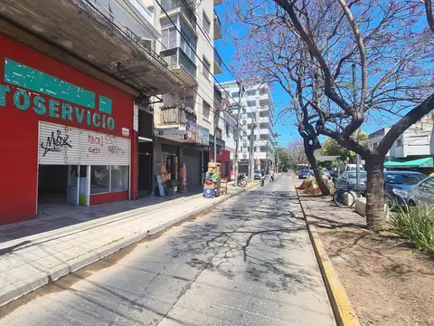 Aristobulo Del Valle  1500