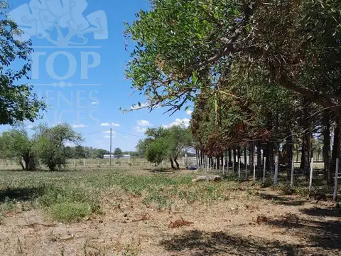Terreno en Alquiler en Gualeguay, USD 1.000